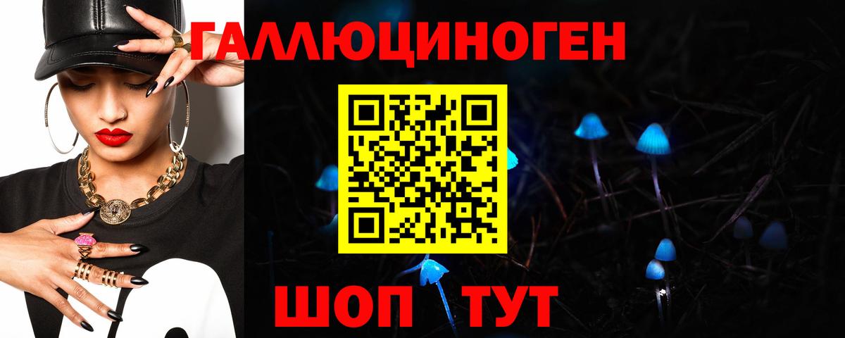 Ступино  Галлюциногенные грибы Psilocybe  Вход с VPN 